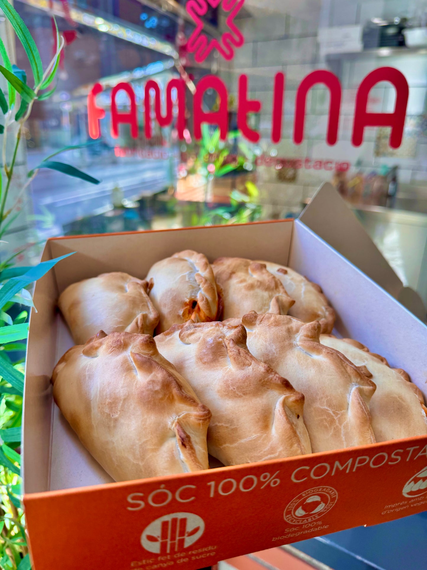 Caja de 8 empanadas argentinas caseras variadas sobre fondo blanco